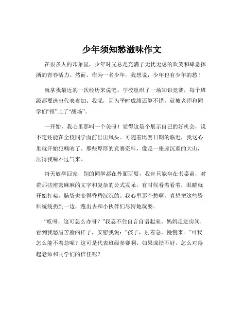 少年须知愁滋味作文