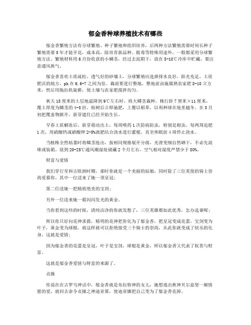 郁金香种球养殖技术有哪些