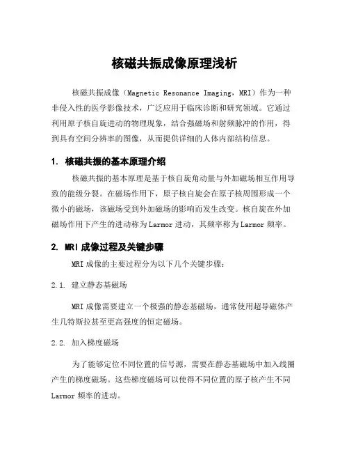核磁共振成像原理浅析