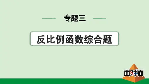 2024年中考数学总复习考点梳理专题三反比例函数综合题