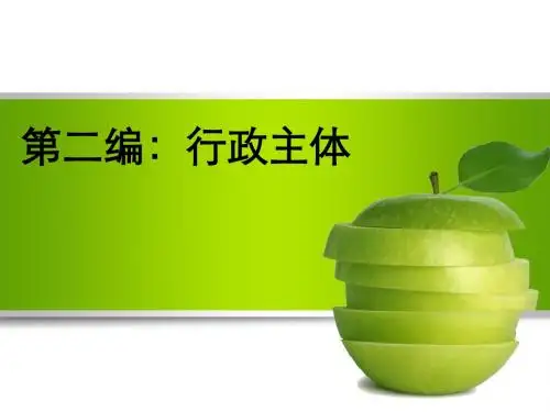 行政主体