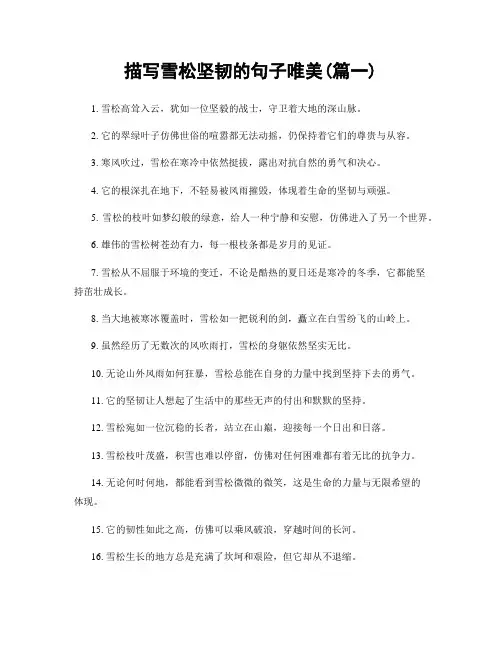 描写雪松坚韧的句子唯美(精选两篇)