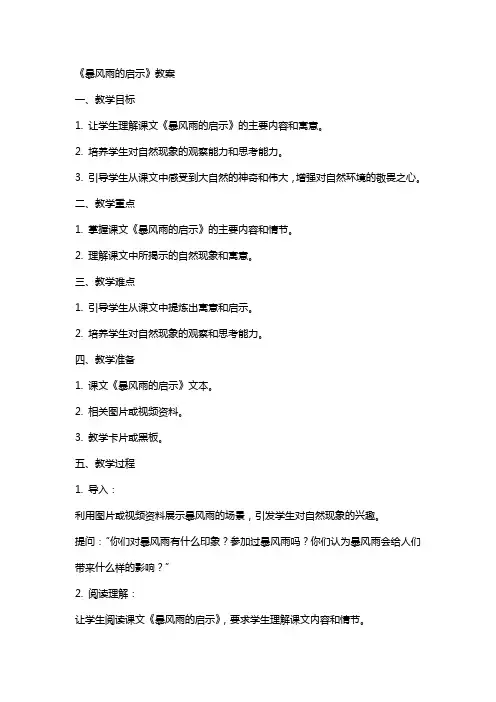 《暴风雨的启示》教案