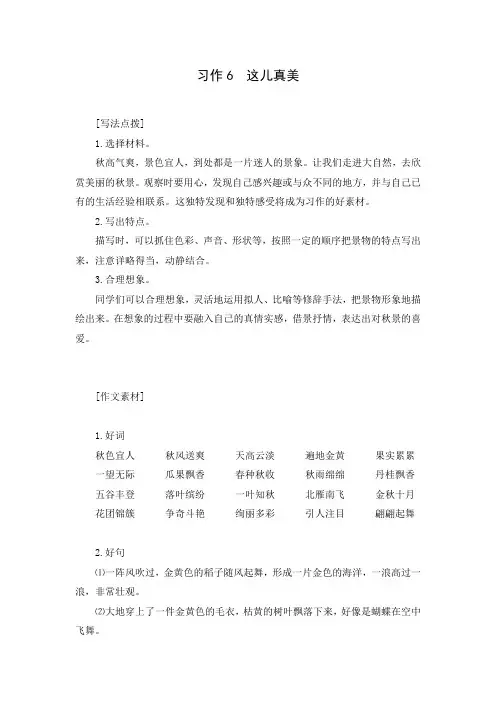 【精品】三年级上册语文同步练习指导-第六单元《习作6  这儿真美》人教部编版