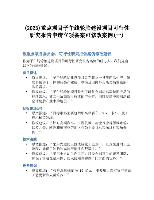 (2023)重点项目子午线轮胎建设项目可行性研究报告申请立项备案可修改案例(一)