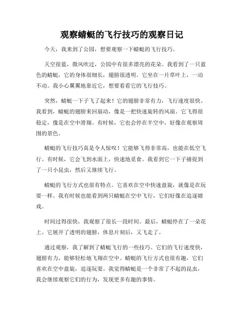 小学三年级作文观察蜻蜓的飞行技巧的观察日记