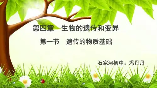 4.1遗传的物质基础