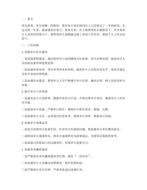 审计部长个人工作总结