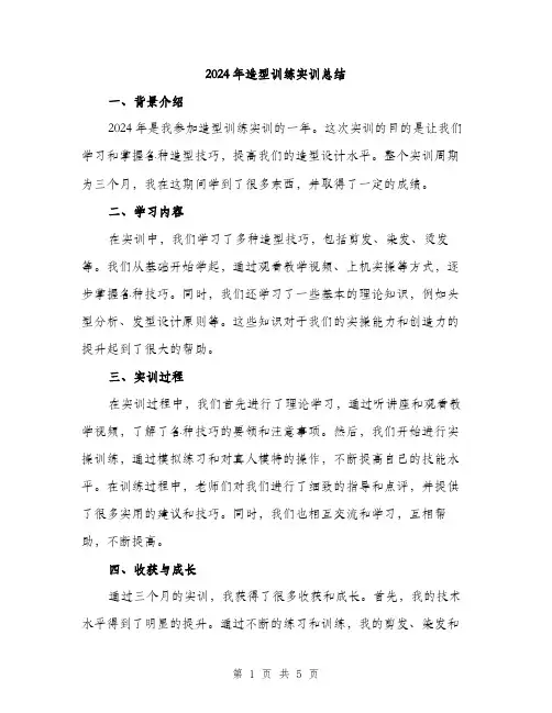 2024年造型训练实训总结（2篇）