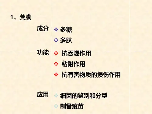 细菌的合成代谢产物