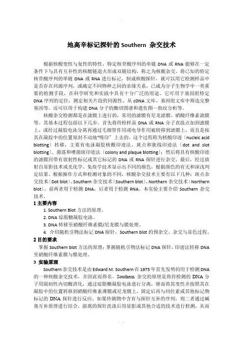 地高辛标记探针的Southern-杂交技术