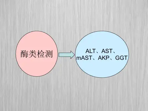 肝脏疾病的相关实验室检查