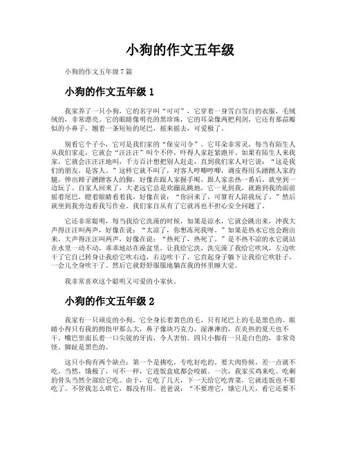 小狗的作文五年级
