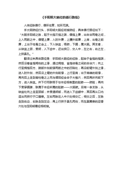 《手阳明大肠经的循行路线》