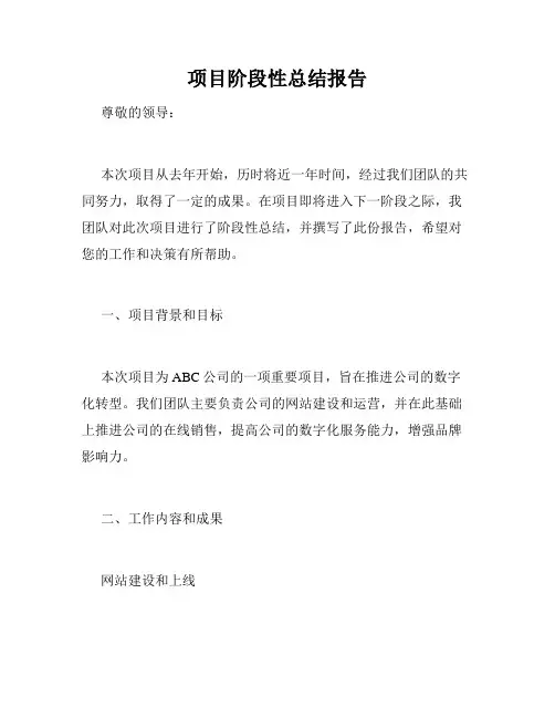 项目阶段性总结报告