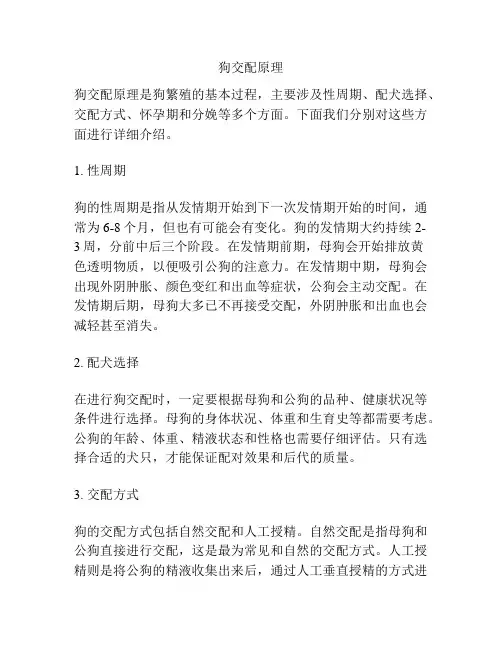 狗交配原理