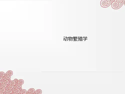 动物繁殖学