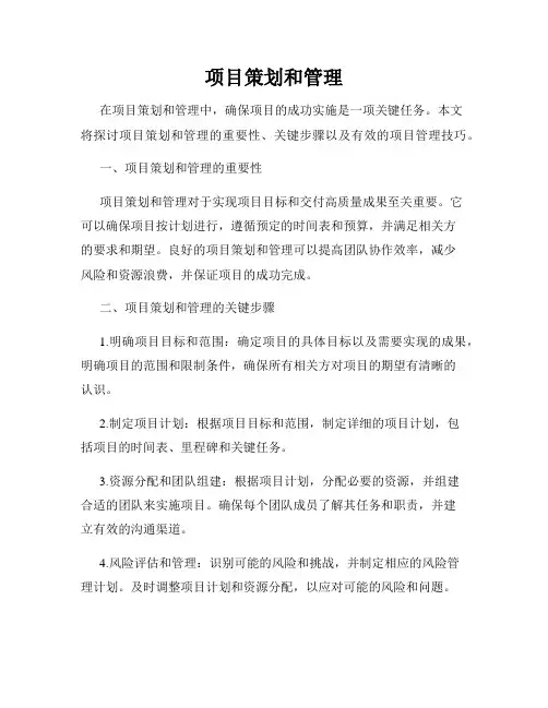 项目策划和管理