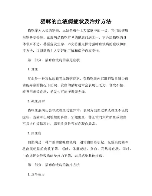 猫咪的血液病症状及治疗方法