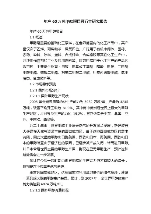 年产60万吨甲醇项目可行性研究报告