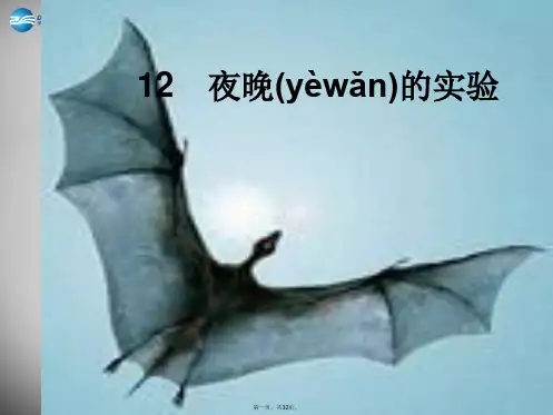 五年级语文下册《夜晚的实验》课件1 北京版