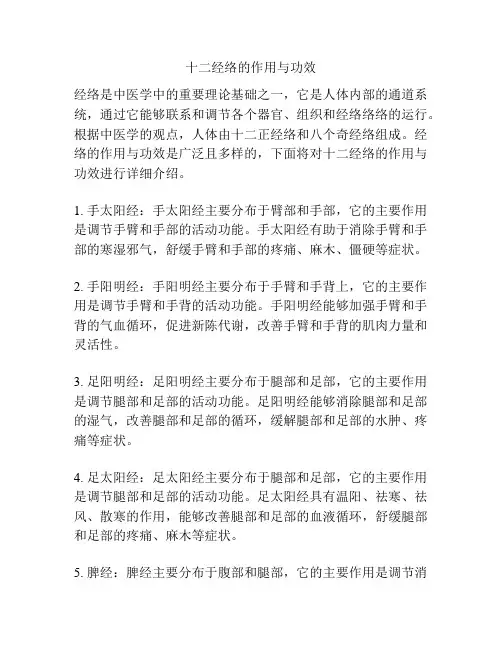 十二经络的作用与功效
