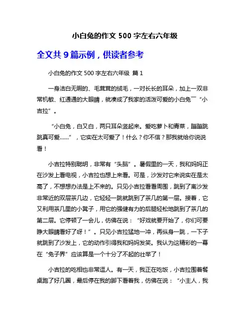 小白兔的作文500字左右六年级