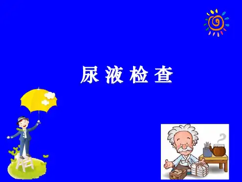 尿液检查PPT课件