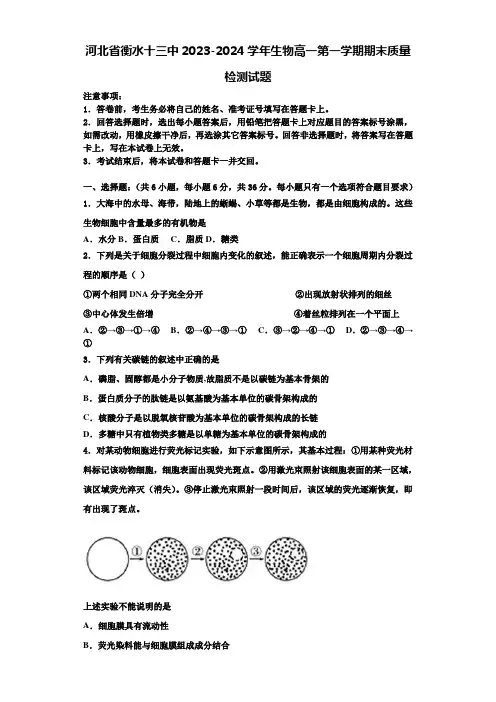 河北省衡水十三中2023-2024学年生物高一第一学期期末质量检测试题含解析