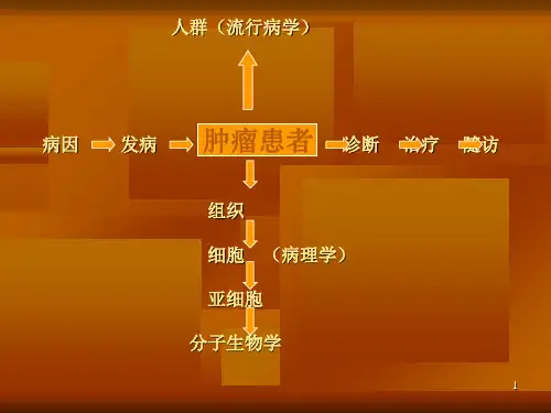 大肠癌的新进展PPT课件