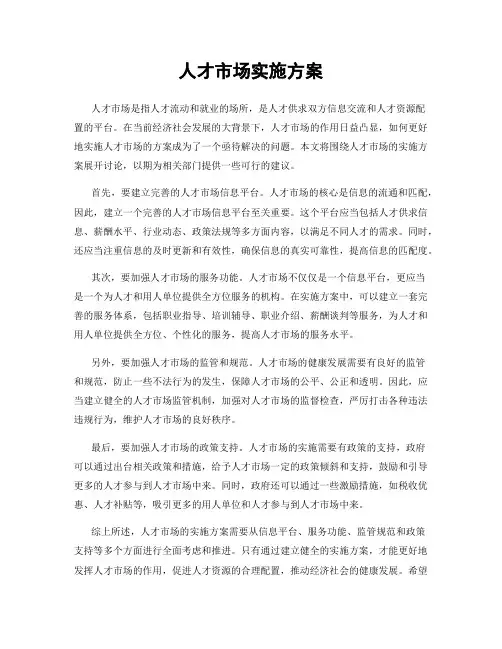 人才市场实施方案