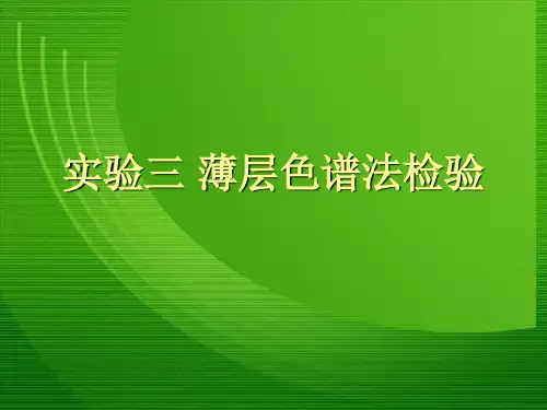 实验三薄层色谱法检验