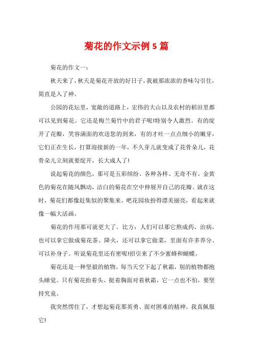菊花的作文示例5篇