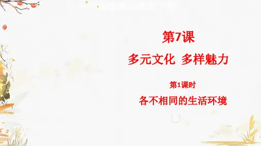 部编版小学道德与法治六年级下册第7课《多元文化多样魅力》课件