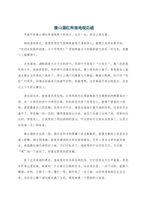 微山湖红荷湿地观后感