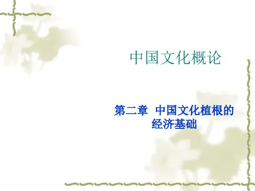 中国文化植根的经济基础(PPT 38页)