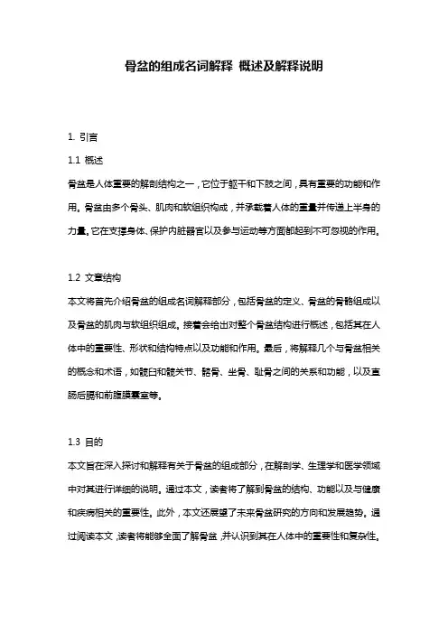 骨盆的组成名词解释_概述及解释说明