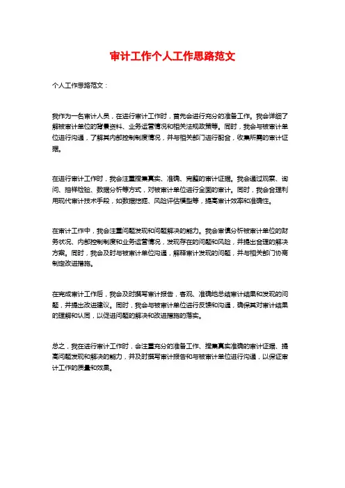 审计工作个人工作思路范文