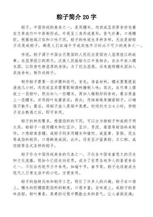 粽子简介20字