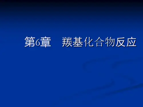 物理有机化学第6章羰基化合物反应