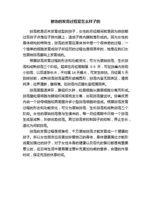 卵泡的发育过程是怎么样子的