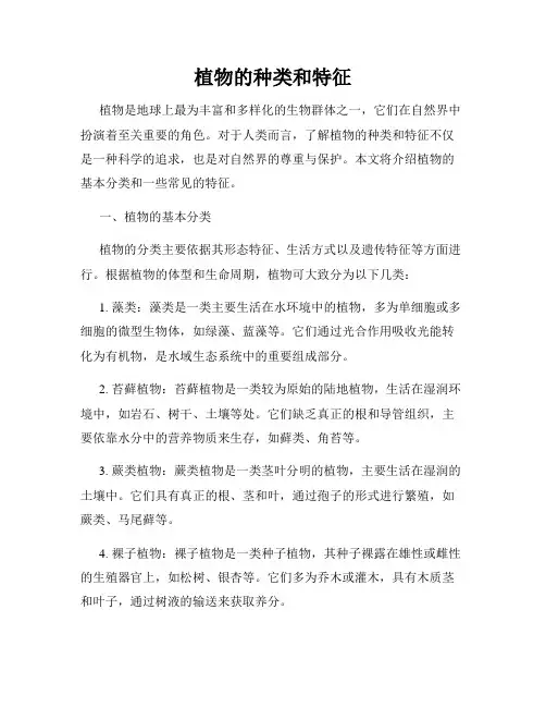 植物的种类和特征