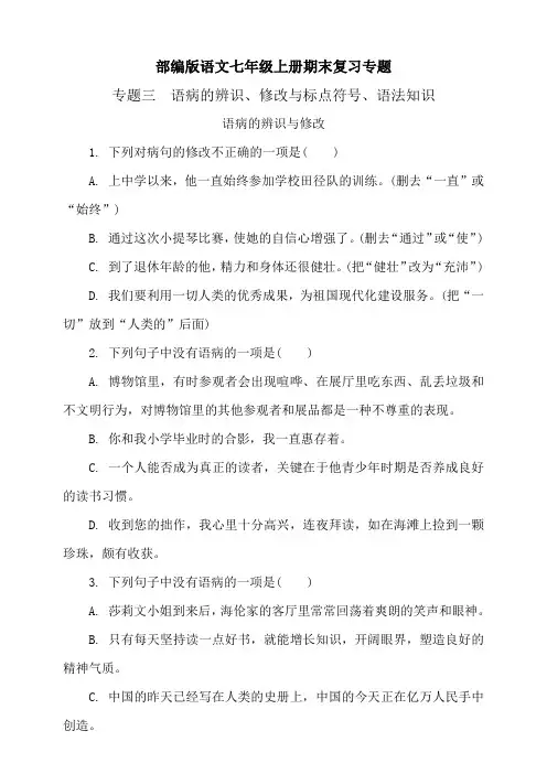 部编版语文七年级上册期末复习专题 -专题三 语病的辨识、修改与标点符号、语法知识(含答案)