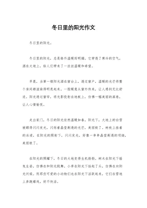 冬日里的阳光作文