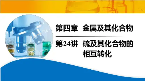 2025届高三化学一轮复习 第24讲  硫及其化合物的相互转化  课件