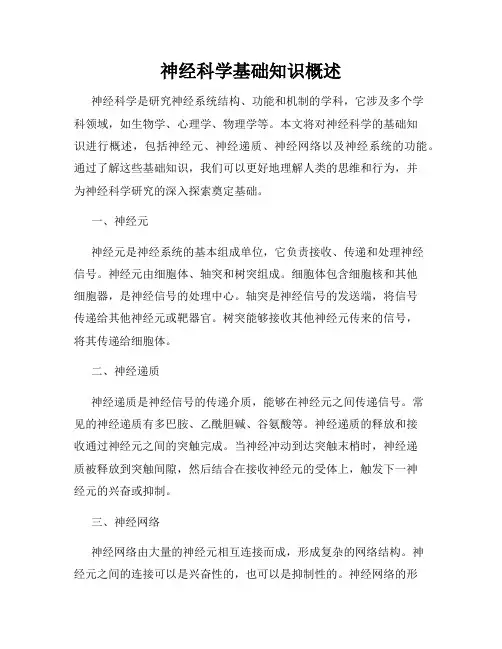 神经科学基础知识概述