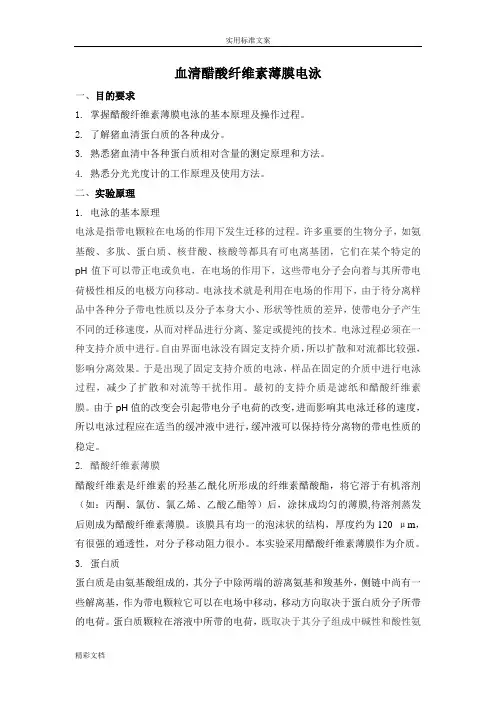 血清蛋白醋酸纤维素薄膜电泳