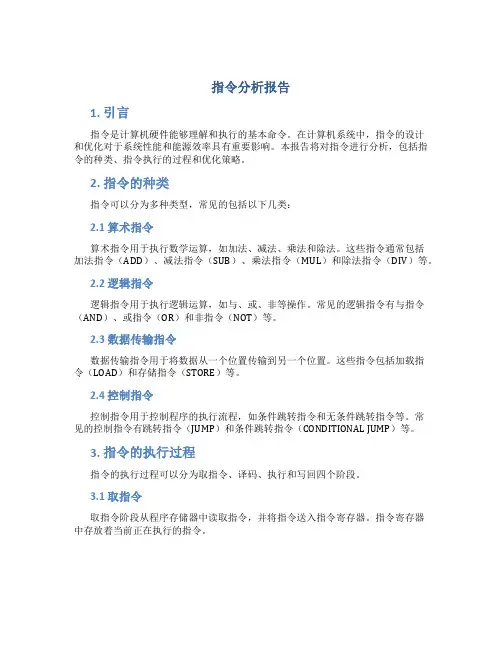 指令分析报告