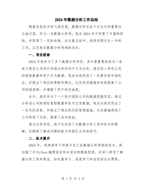 2024年数据分析工作总结