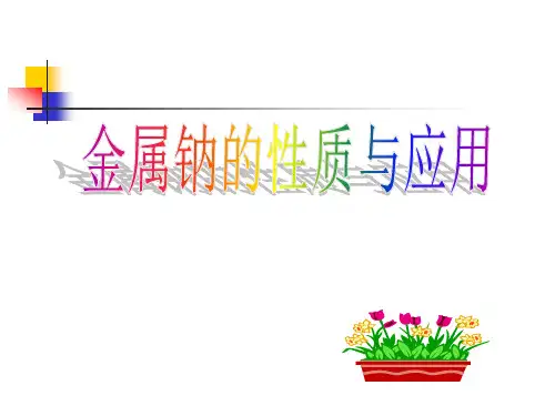《金属钠的性质与应用》课件